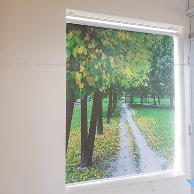 Lựa chọn rèm cuốn in tranh đẹp cho văn phòng Cầu Giấy, Hà Nội RT40