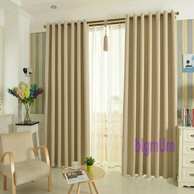 A vải một màu 8.3